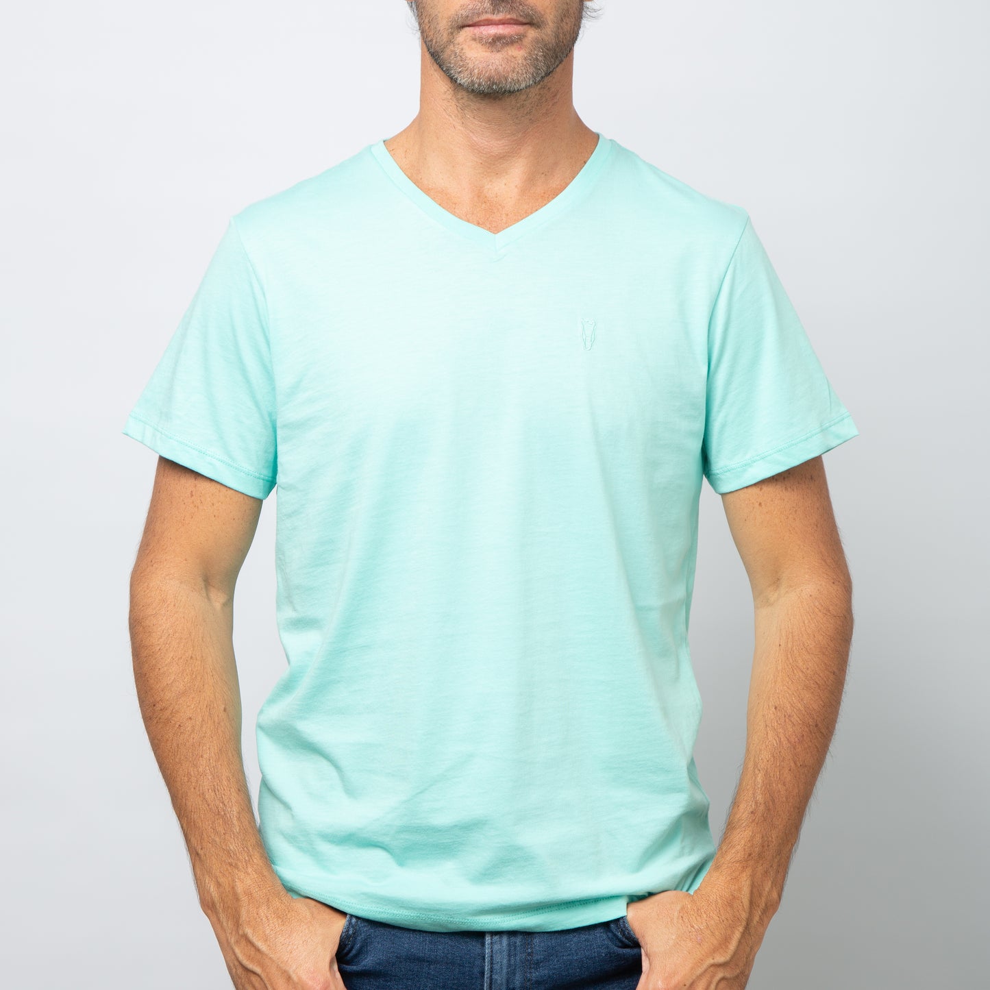 Cuello en V / Light Green